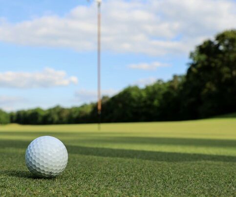 Golf Ball in the ground